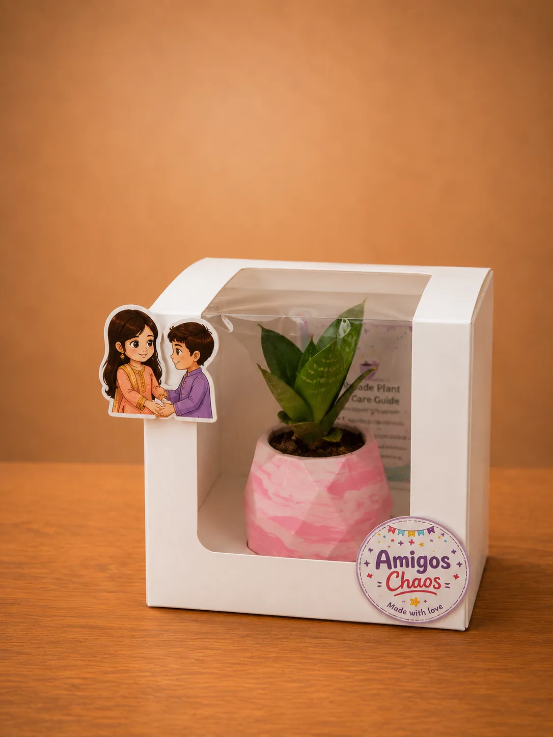 Live snake plant in a handmade concrete pot by Amigos Chaos